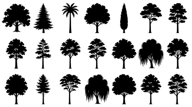 Cad tree line Diverse Tropical Tree Silhouettes And Forest Outline Collection vactor