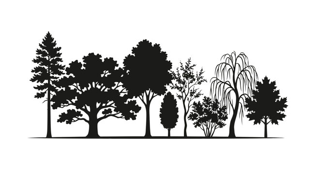 Cad tree line Forest landscape silhouette vector set. Pine, oak, and weeping willow trees. Nature scenery for graphic design, logo templates, and scrapbooking vactor