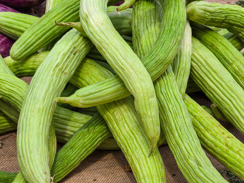 Close up view of fresh raw Armenian cucumbers on a market display in a rustic setting