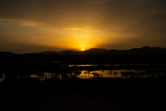Dramatic golden sunset over flooded rice fields in Marjal de Pego Oliva Natural Park in Spain