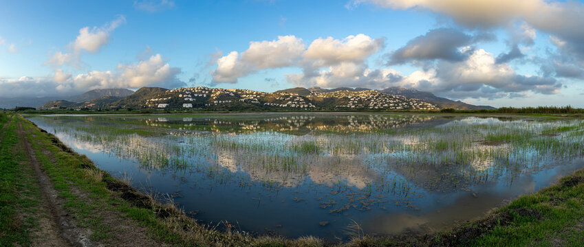 Panoramic view of flooded rice paddies and Segaria mountain range in Pego Oliva Natural Park during the day