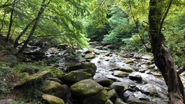 The  River Lyn in Devon,  near Lynmouth, England	