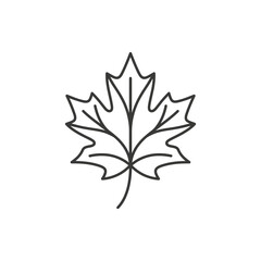Fototapeta premium Detailed maple leaf line art icon.