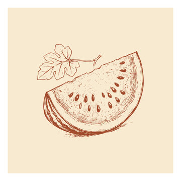 Vintage style engraving drawing of a delicious watermelon slice with seeds and leaf illustration watermelon engraving illustration refreshment nutrition agriculture botanical ingredient