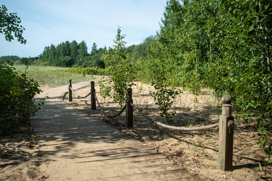 Ecological hiking trail in national park through sand dunes, beach, sedge thickets and trees, wooden path with wooden post with rope through environment along sea shore. walks in countryside 