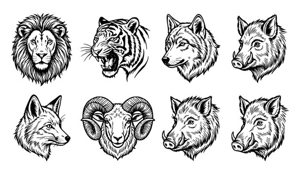 Wild animal head outline vector set with lion tiger wolf fox ram and boar portraits