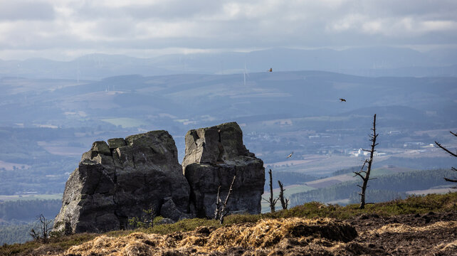 Large rocks on a mountain summit with birds flying at sunset