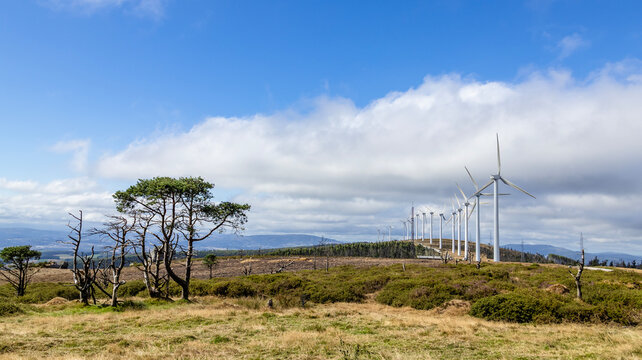 Wind farm with wind turbines and trees in a mountain landscape
