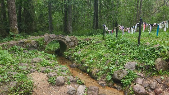 Stone bridge over a stream in a green forest landscape  