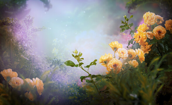 Fantasy whimsy background with blooming yellow rose flowers in fairy tale magical garden, fairytale whimsical glade wallpaper, amazing magic tranquil misty landscape template, scene with copy space.