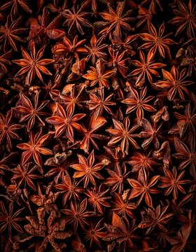 Macro close-up of dried star anise spice background for culinary and food photography.