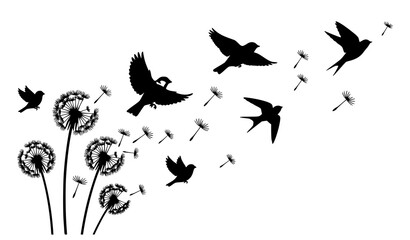 Fototapeta premium Bird and Dandelion Silhouette with Floating Seeds Representing Nature, Freedom, Growth and Natural Seed Dispersal