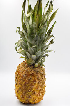 Pineapple fruit fresh tropical closeup on white.