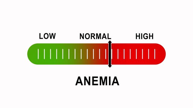 Anemia level indicator gauge animation: medical diagnostic scale showing low to risk levels for patient health monitoring and clinical research