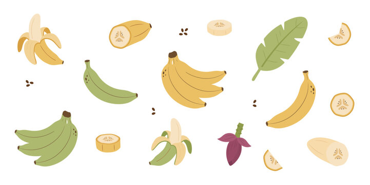 Hand-drawn banana fruit illustration set featuring whole bananas, banana slices, peels, leaves, seeds, and playful botanical elements in warm, earthy colors.