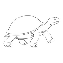 Fototapeta premium Minimalist Line Art Vector Illustration of a Walking Turtle Isolated on a White Background for Creative Design Projects