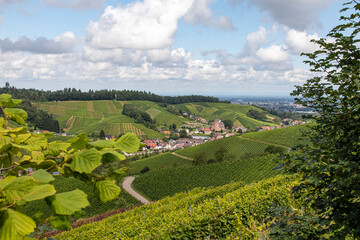Naklejka premium Weinberge im Achertal