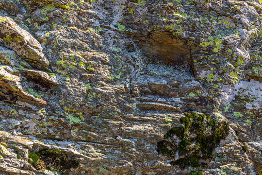 Close-up texture of weathered rock with lichen and moss