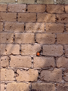 Weathered concrete block wall with mortar imperfections and single red brick accent