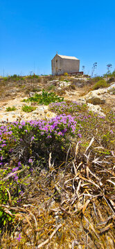 The Dingli Cliffs on the southwest coast of the island of Malta, about 13 kilometers from the capital, Valletta.