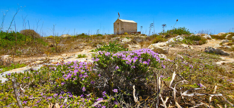 The Dingli Cliffs on the southwest coast of the island of Malta, about 13 kilometers from the capital, Valletta.