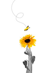 Naklejka premium Trend artwork composite sketch image photo collage of surreal space spring season nature flower hand raise hold sunflower butterfly fly