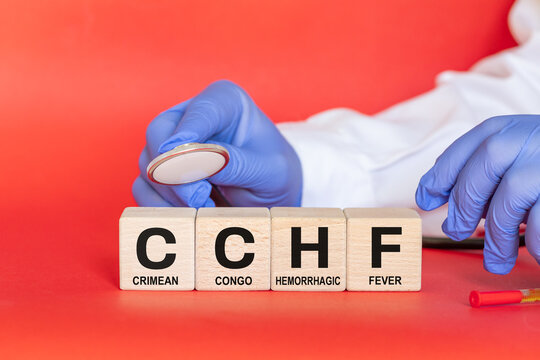 CCHF symbol. Choroba Crimean Congo Hemorrhagic Fever. Medical concept. A very dangerous, infectious zoonotic disease. A doctor with a stethoscope over the abbreviation CCHF. Red background. Copy space