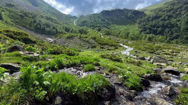 Alpine Mountain Stream Flowing Through Green Meadow Valley With Rocky Banks and Forested Slopes