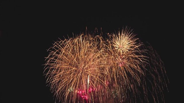 遠くから鑑賞する豪華な打上花火