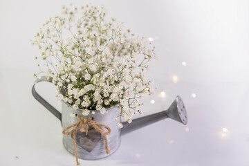 White baby breath flowers in vintage metal watering can, rustic spring background with bokeh lights and copy space © Pure Asset