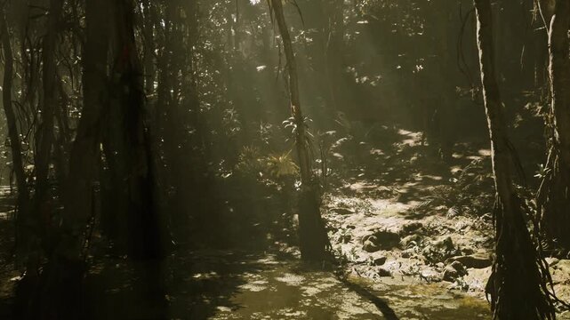Sunlit marsh channel with shimmering reflections and scattered lily blooms, shallow water catching light between tree shadows, calm wetland mood with delicate