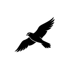 Fototapeta premium Black silhouette of a falcon in flight with wings spread wide, isolated on a white background, of a predatory bird in motion