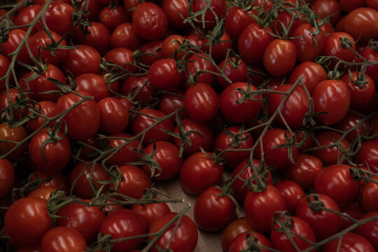 Freshly picked red cherry tomatoes on the vine
