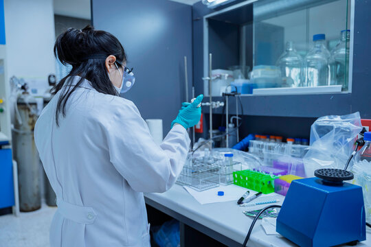 Female researcher uses a pipette to handle toxic chemical samples in a laboratory. Concept of toxicology, chemical safety, sample analysis, scientific research, and laboratory testing.