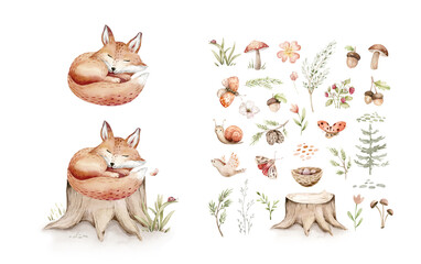 Naklejka premium Watercolor cute sleeping babyfox animal. Woodland nursery isolated illustration for children. watercolour forest drawing, floral image. Perfect for kids posters, patterns