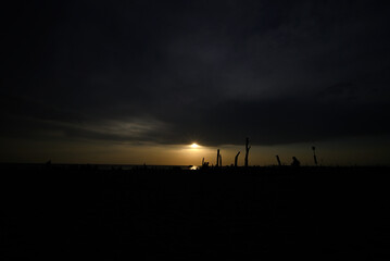 Obraz premium Torre del Lago, Tuscany, Italy - August 12th 2026 - People at the beach looking at the partial solar eclipse.