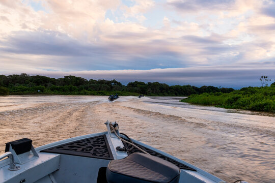 Traveling Through The Pantanal At Sunset  