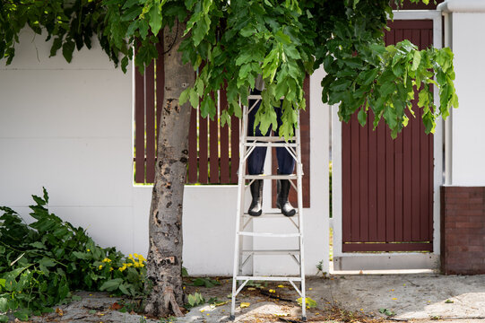 Trimming a tree in rubber boots on the street in Bangkok