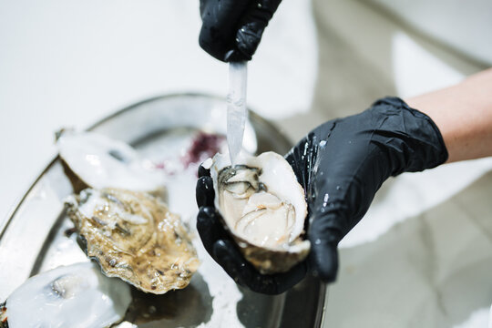 Chef gloved hands shucking fresh raw oyster