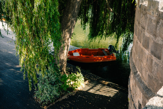 Sunny Day by the Water With a Small Orange Boat Near a Tree
