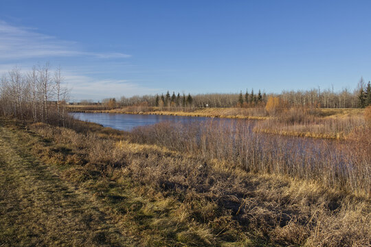 Pylypow Wetlands on a Dry Autumn Day