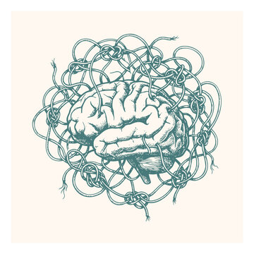 Vintage engraved illustration of a human brain wrapped in tangled vines and branches representing complex thoughts with thoughts psychology neuroscience illustration engraving complexity