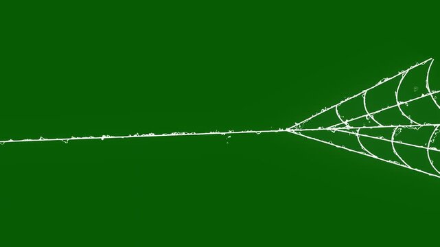 Flexible white spider silk animation expanding dynamic lines, spooky Halloween spider web overlay on clean green background, animated spider web expansion effect with flexible elastic strands,4k