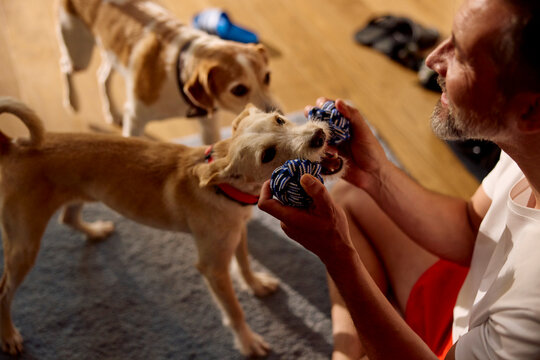 Man enjoys his free time playing with dogs at home