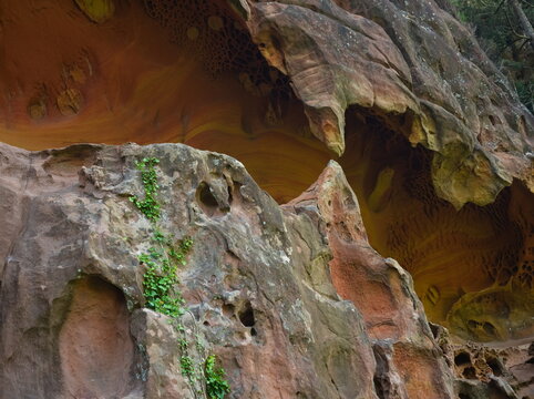 Rocas