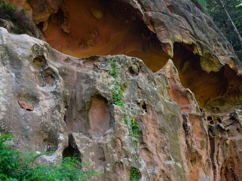 roca
