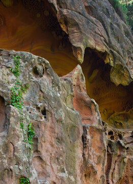 roca