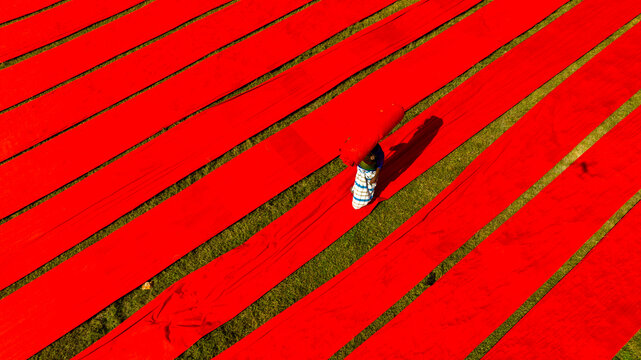 Narsingdi, Dhaka Division, Bangladesh - 19 November 2022: Aerial view of a worker carrying red fabric across long strips of cloth drying on a green field.