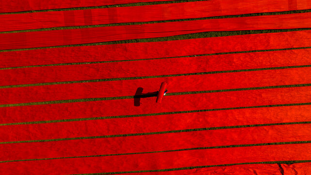 Narsingdi, Bangladesh - 19 November 2022: Aerial view of long strips of vibrant red fabric laid out to dry on the ground, with a worker walking between the rows.