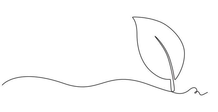 Animation of Continuous One Line Drawing Growing Plant with Leaves, Minimal Monoline Nature Illustration, Seamless Loop Motion Graphics, Botanical Growth Concept, Alpha Channel, 4K Animated Video